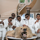 The New Edition StoryBET